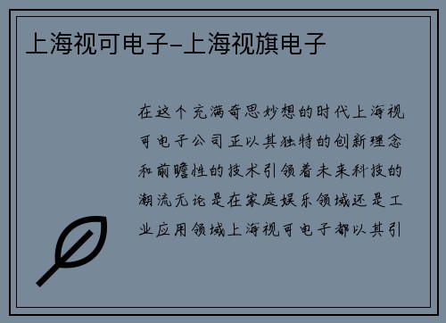 上海视可电子-上海视旗电子